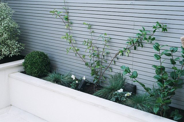Fence 1